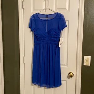 🆕Cute Blue David’s Bridal Dress (G)